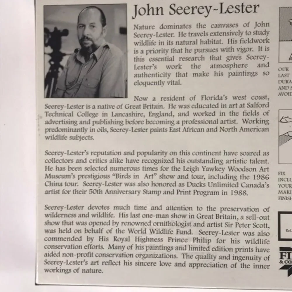 John Seerey-Lester Puzzle 1000 Softly, Softly White Tiger Fink & Company - New